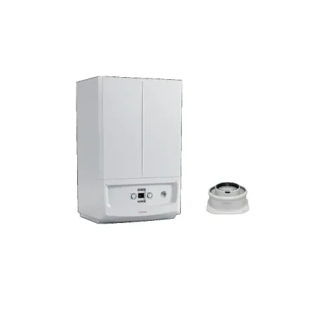 Caldaiaa gas Immergas Victrix Zeus 25 3.028381 3.012086